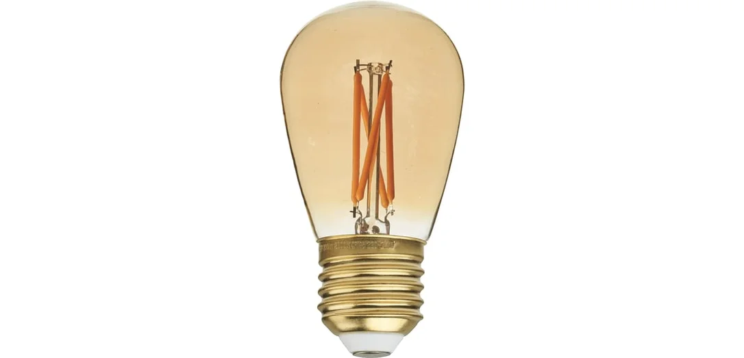 bolia889137