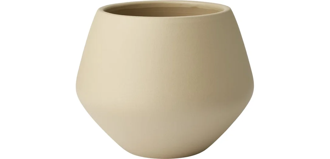 bolia889856