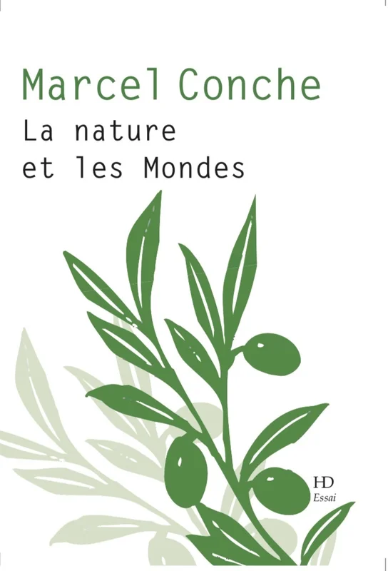 e.leclerc-25151866