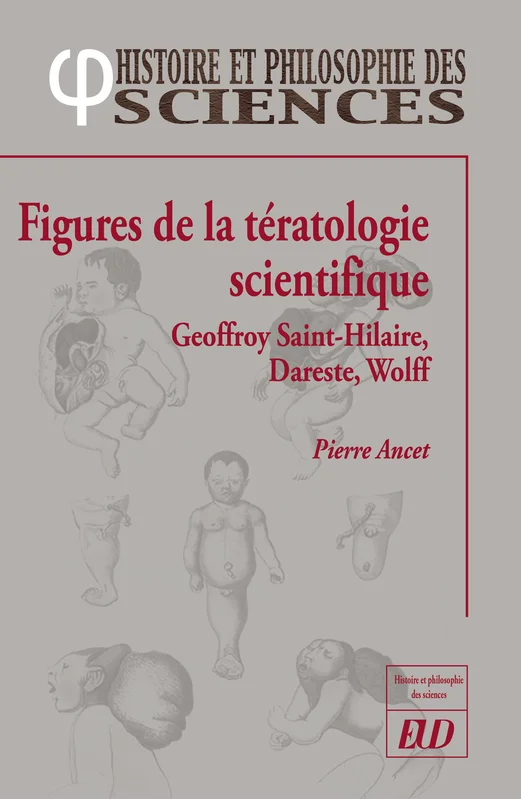 e.leclerc-25218137
