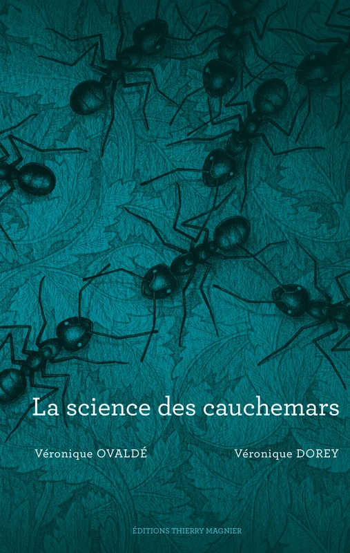 e.leclerc-25244973