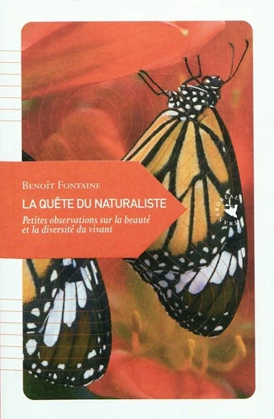e.leclerc-2524936