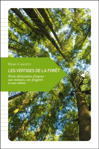 e.leclerc-2525261