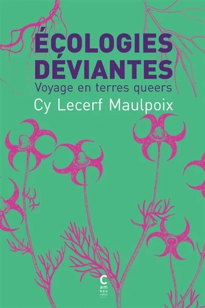 e.leclerc-25371121