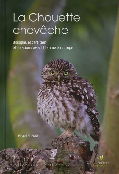 e.leclerc-25427855