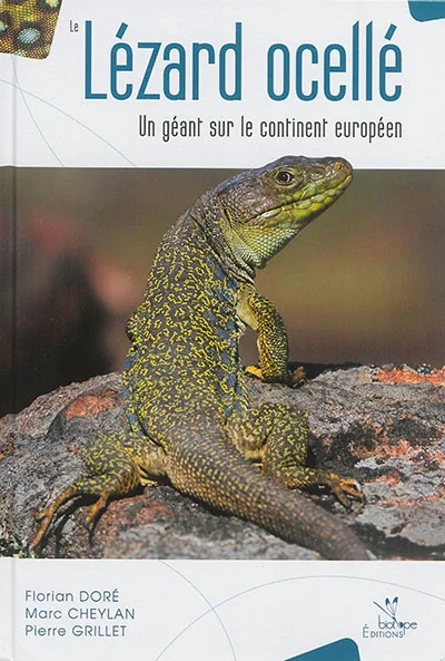 e.leclerc-25428052