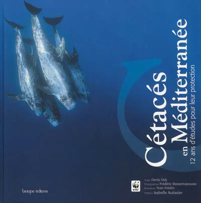 e.leclerc-25428200