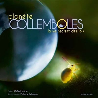 e.leclerc-25428422