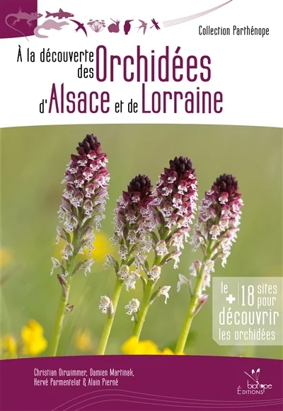 e.leclerc-25428571