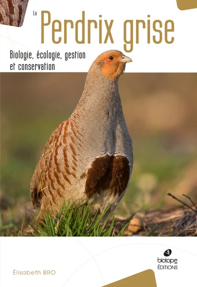 e.leclerc-25428772