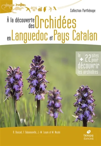 e.leclerc-25429131