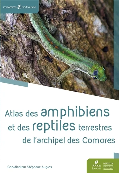 e.leclerc-25429172