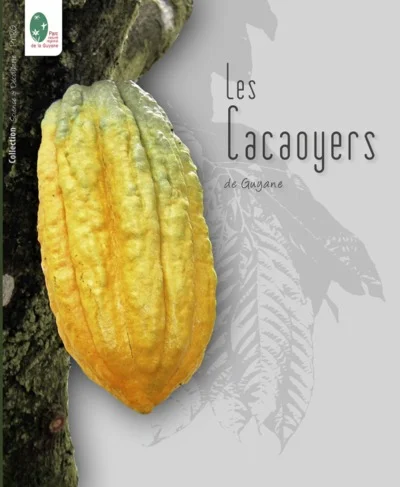 e.leclerc-25429335