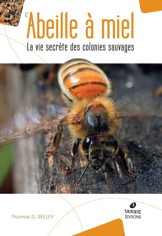 e.leclerc-25429478