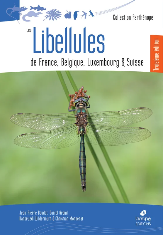 e.leclerc-25430891
