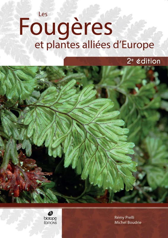 e.leclerc-25431466