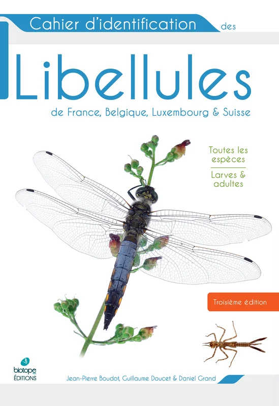e.leclerc-25431657
