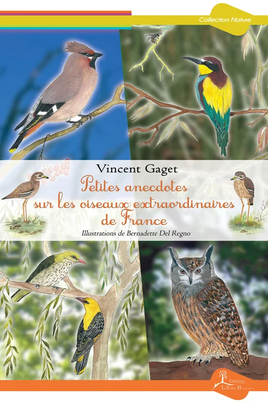 e.leclerc-25454617
