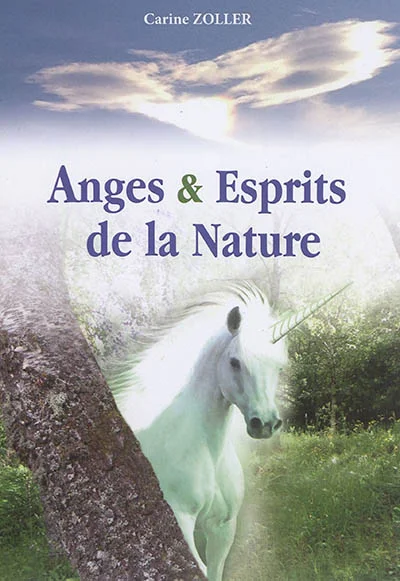 e.leclerc-25455735