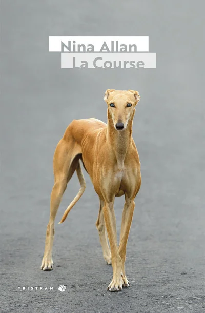 e.leclerc-25476711