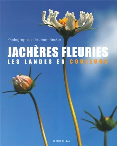 e.leclerc-255745215