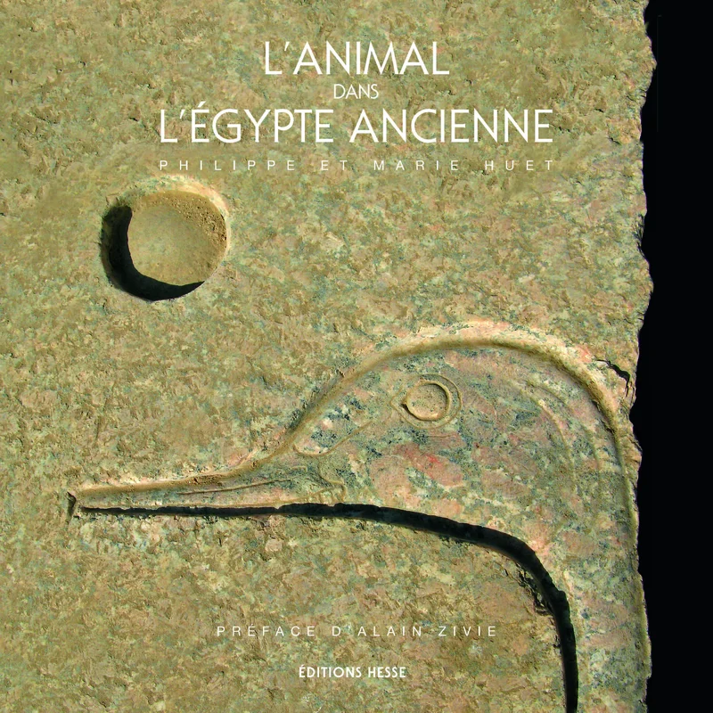 e.leclerc-255768364