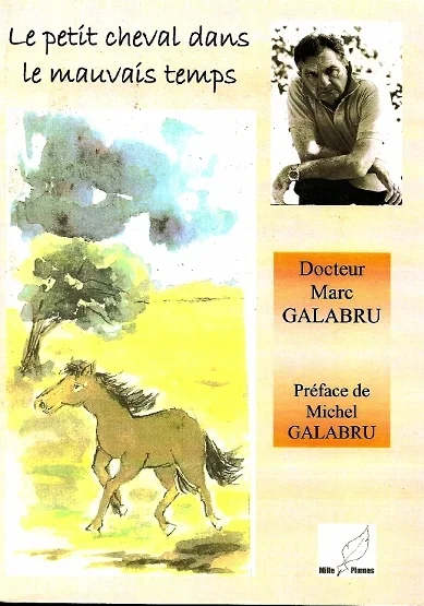 e.leclerc-255895945