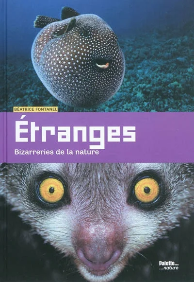 e.leclerc-255898121