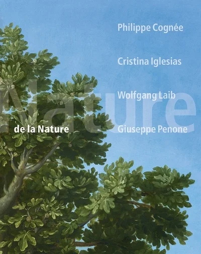 e.leclerc-256579636