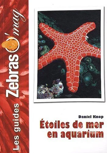 e.leclerc-256586710