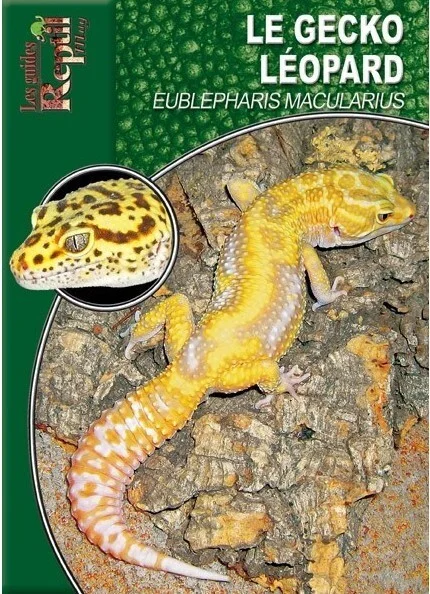 e.leclerc-256586870