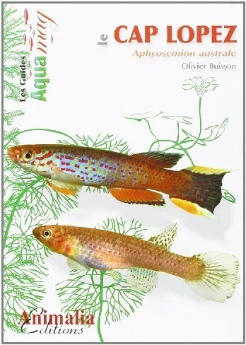 e.leclerc-256586950
