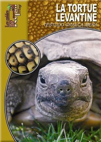 e.leclerc-256587138