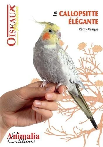 e.leclerc-256587264