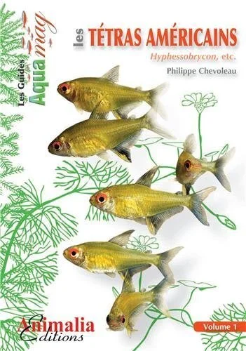 e.leclerc-256587343