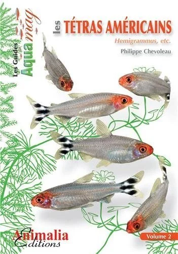 e.leclerc-256587365