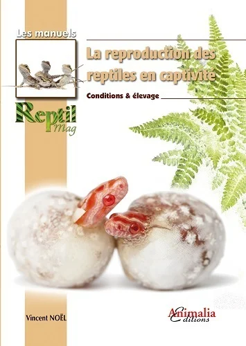 e.leclerc-256587813