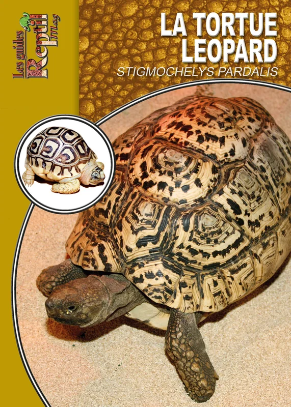e.leclerc-256587987