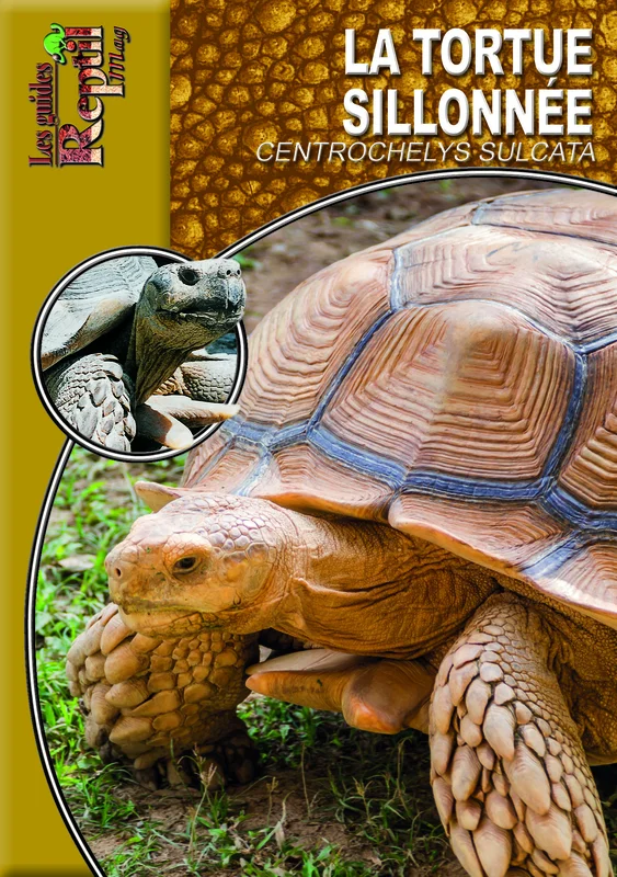 e.leclerc-256588288