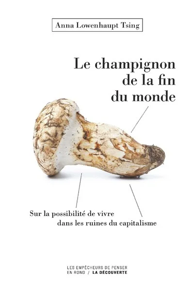 e.leclerc-256607558