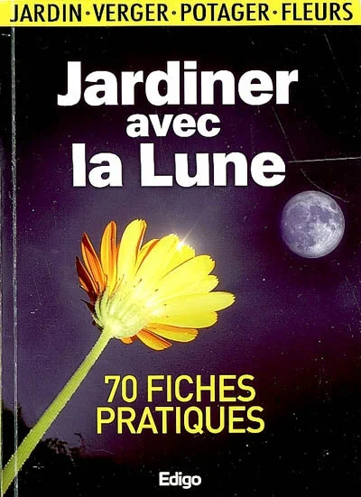 e.leclerc-256610629