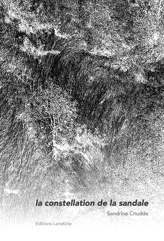 e.leclerc-256655169