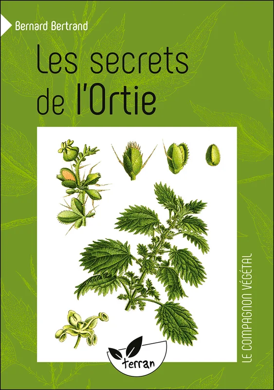 e.leclerc-256671232