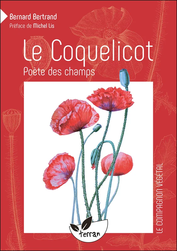 e.leclerc-256671454