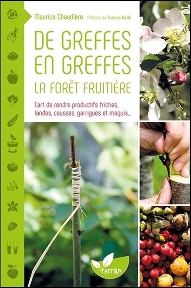 e.leclerc-256672350