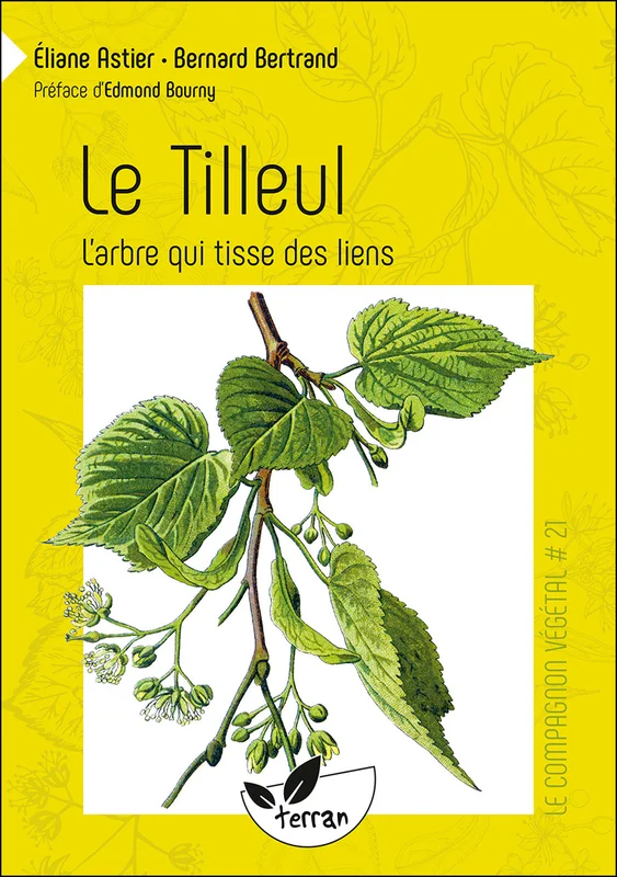 e.leclerc-256673330