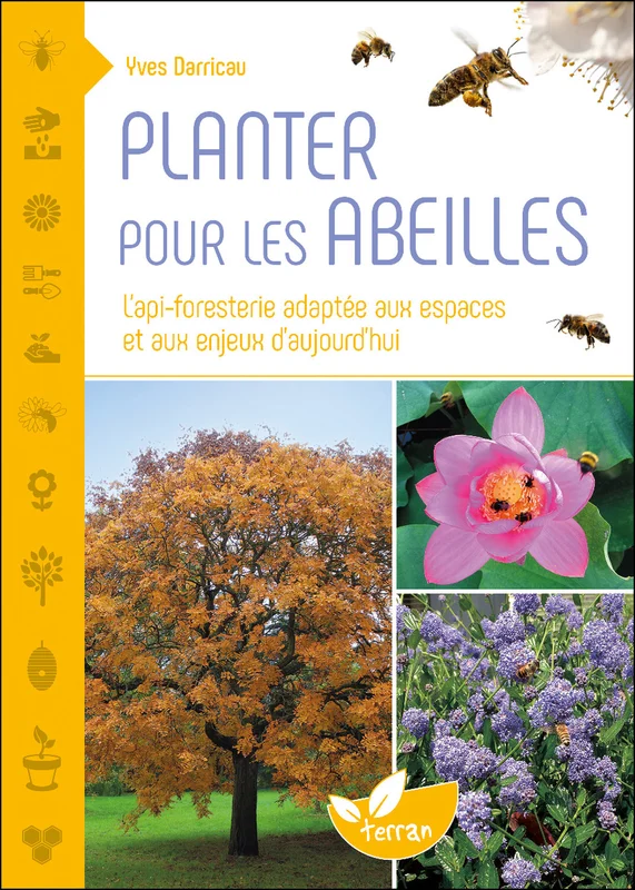 e.leclerc-256675764