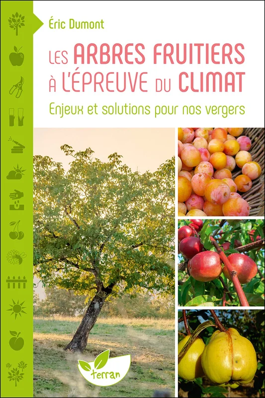 e.leclerc-256677022