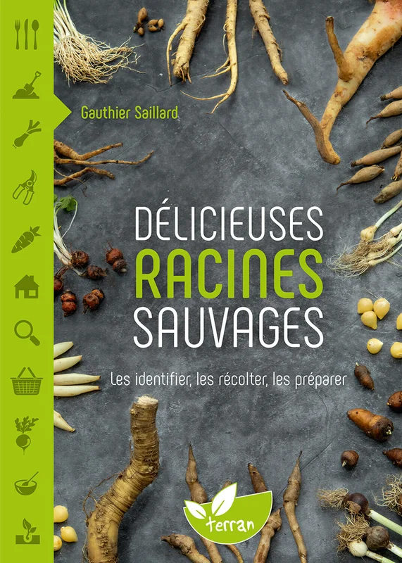 e.leclerc-256677079