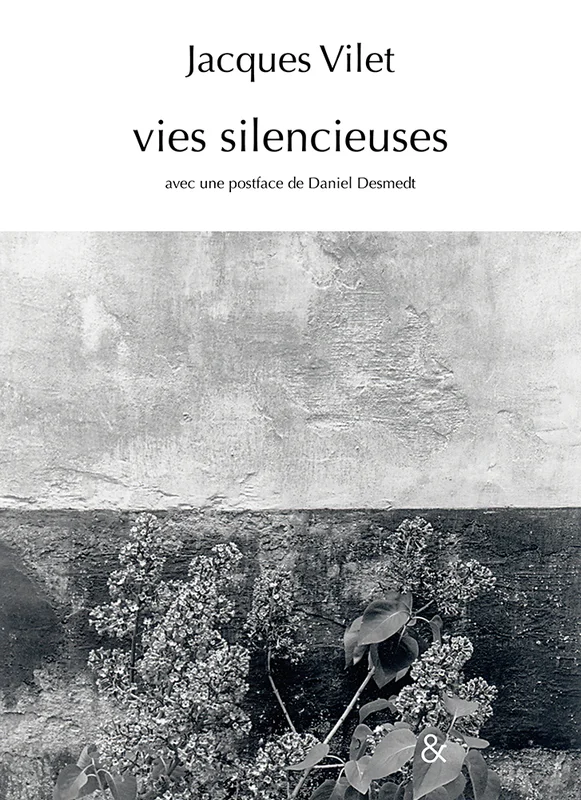 e.leclerc-256689987